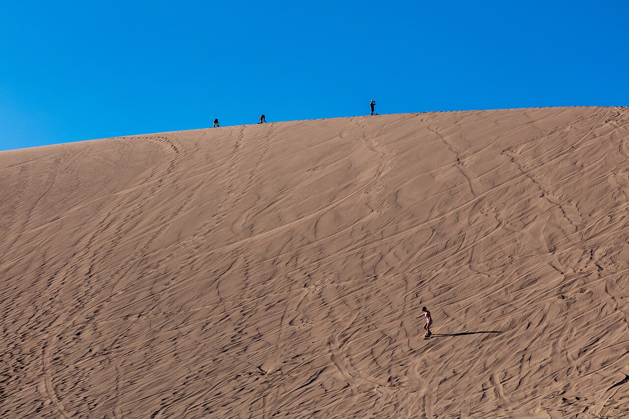 Sandboarden
