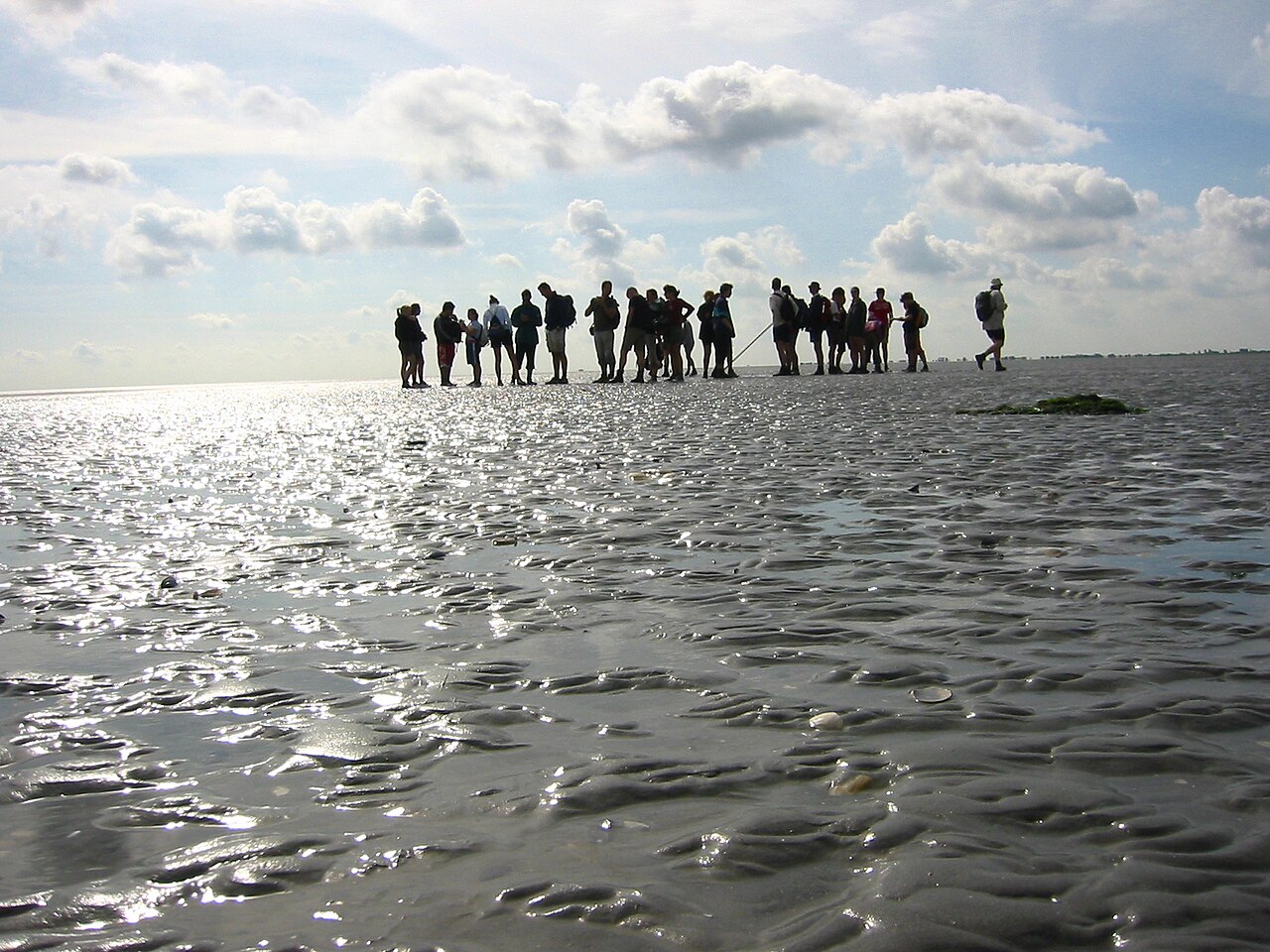 Wadlopen